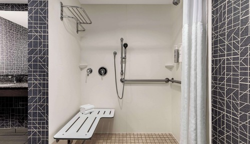 Suite, 1 cama de matrimonio grande con sofá cama (Roll-in Shower)