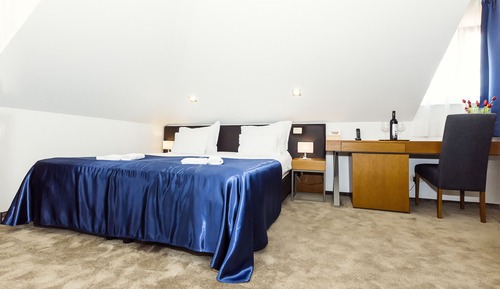 Standard room - Attic