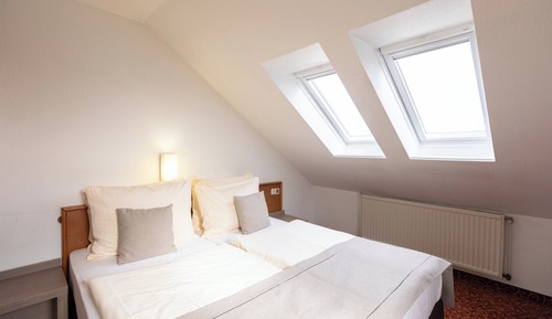 Habitación triple básica