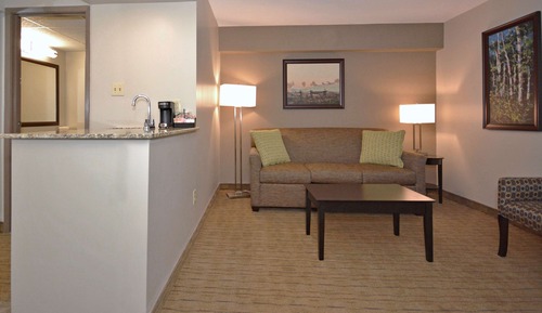 Suite, 1 cama de matrimonio, no fumadores