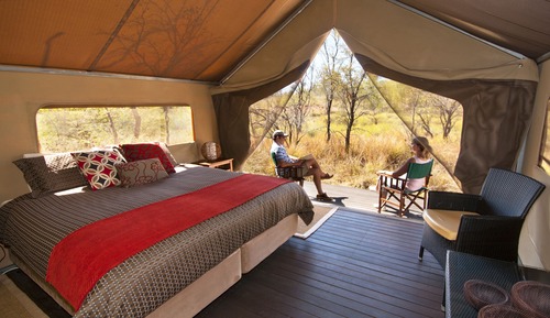Tienda superior (1 King Bed)