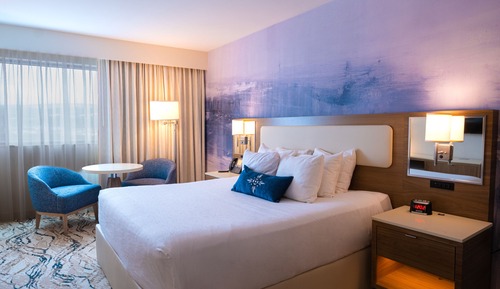 Habitación Deluxe, 1 cama de matrimonio grande, no fumadores (Adults Only 21+)