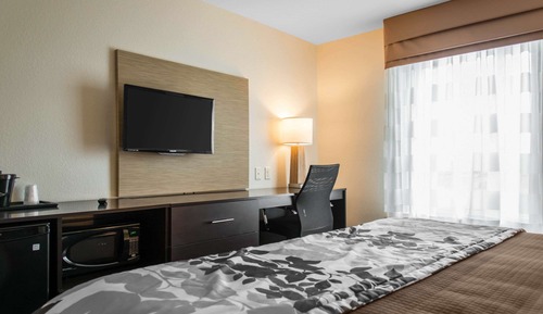 Habitación estándar, 1 cama de matrimonio grande, no fumadores