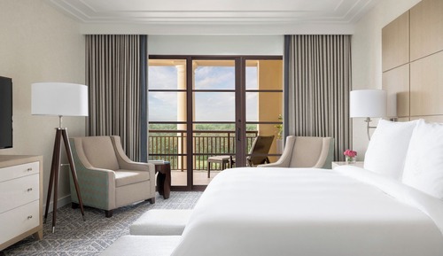 Suite, 1 cama de matrimonio grande con sofá cama, vistas al parque