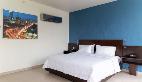 Suite, 1 cama de matrimonio grande, vistas a la ciudad