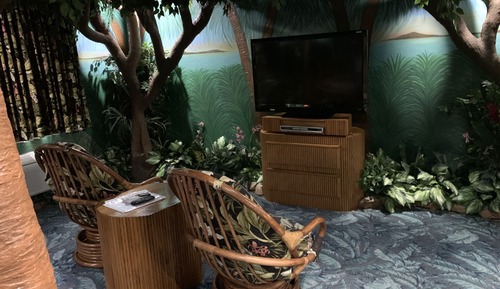 Suite (Rain Forest)