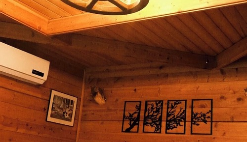 Casa Conforten un árbol