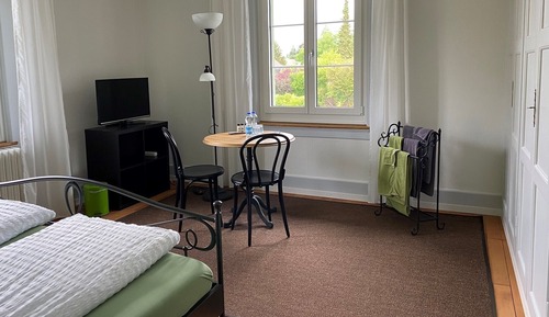 Standard Double Room (Aare)