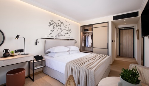 Habitación Deluxe con 1 cama doble o 2 individuales