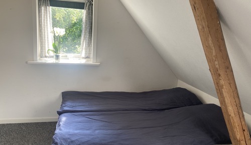Habitación clásica con 1 cama doble o 2 individuales