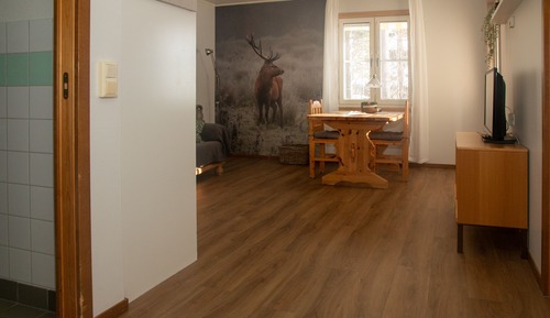 Apartamento de diseño, 2 camas individuales, no fumadores, vistas al jardín