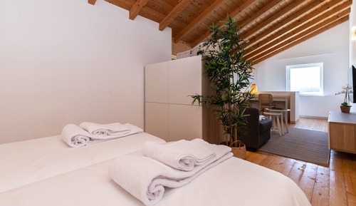 Suite estudio familiar
