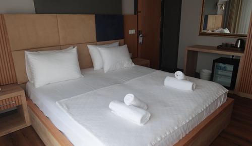 Habitación estándar con 1 cama doble o 2 individuales