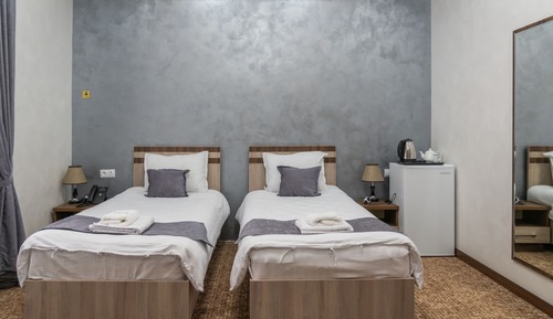Habitación estándar con 2 camas individuales