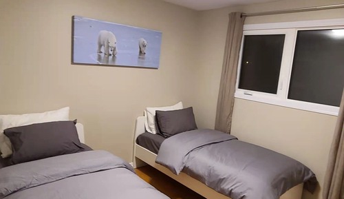 Habitación básica con 2 camas individuales (A1)