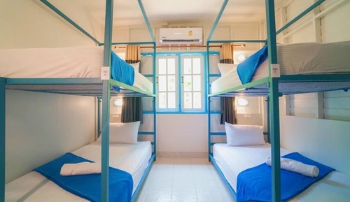 Bed in 4 Bed Mixed Dormitory