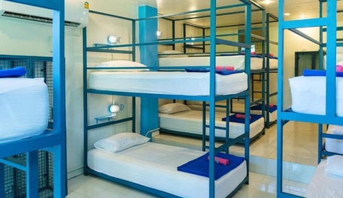 Bed in 12 Bed Mixed Dormitory