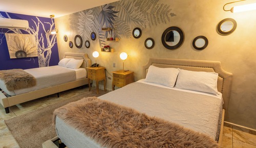 Habitación estándar doble, 2 camas individuales