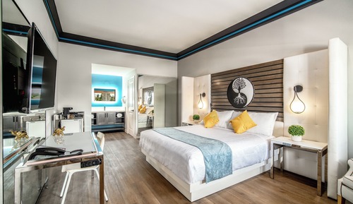 Habitación clásica, 1 cama de matrimonio grande