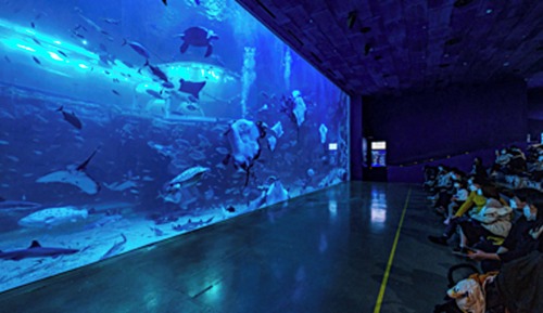 [Aqua Planet Ticket for 2 Pax] Premier Deluxe Ondol Double City View