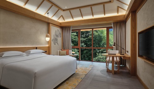 Habitación estándar, 1 cama de matrimonio grande, acceso al Business Lounge, vistas a la montaña