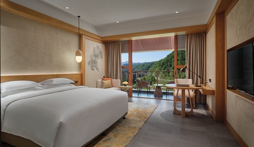 Habitación estándar, 1 cama de matrimonio grande, acceso al Business Lounge, vistas al jardín