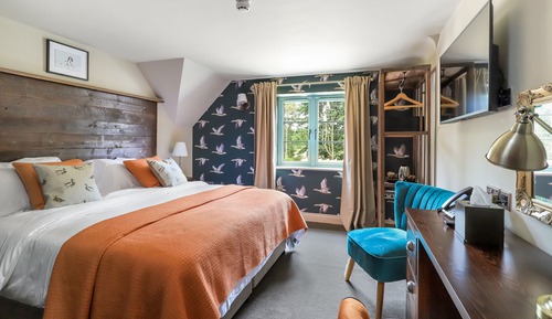 Habitación Deluxe con 1 cama doble o 2 individuales