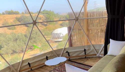 Shell Dome