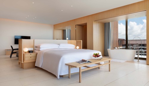 Suite estudio Confort, 1 cama de matrimonio, balcón, vistas al jardín