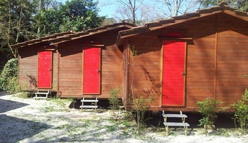 Habitación básica, 2 camas individuales