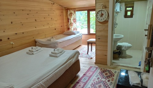 Habitación con 1 cama doble o 2 individuales