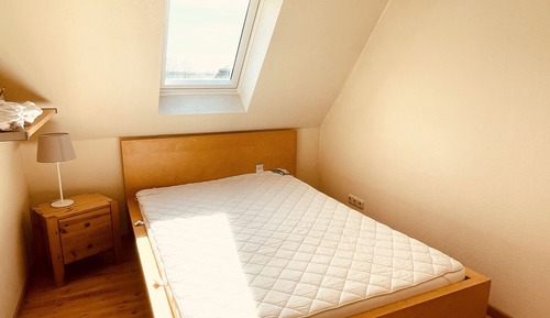 Apartamento junior