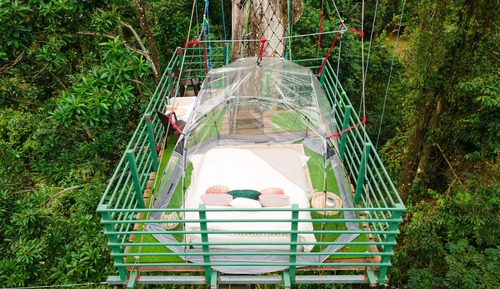 Casa en un árbol