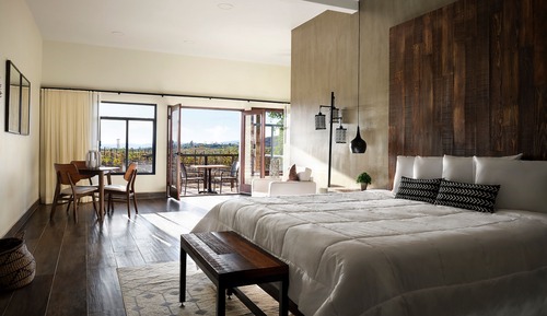 Suite, vistas al viñedo