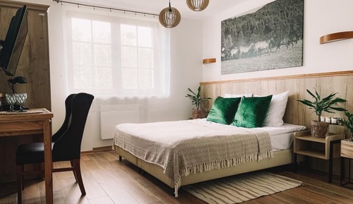 Habitación Deluxe con 1 cama doble o 2 individuales