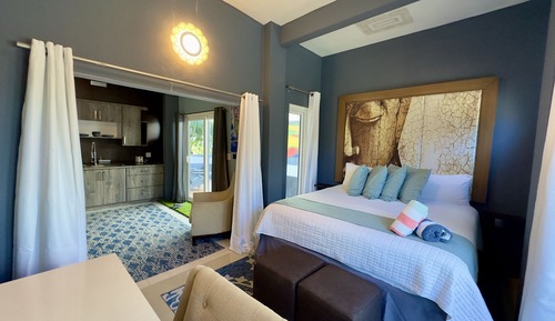 Suite estudio junior