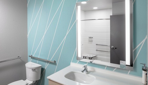 Habitación estándar, 1 cama de matrimonio grande (Mobility, Roll-In Shower)