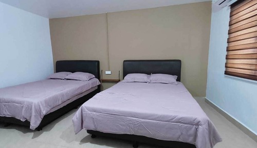 Suite Premium