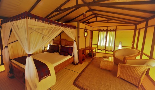 Habitación cuádruple Deluxe