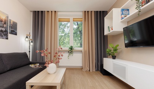 Apartment, 1 Bedroom, Kitchen