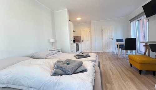 Apartamento clásico, 1 habitación