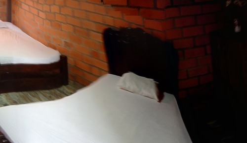 Habitación clásica