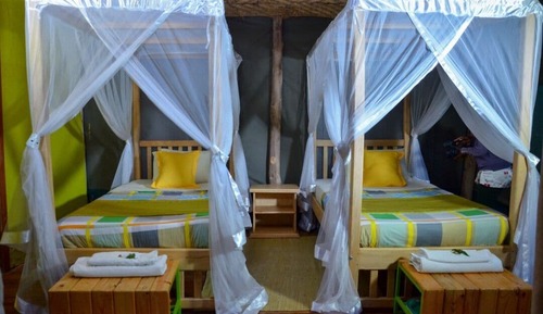 Habitación individual estándar