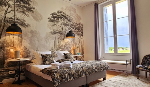 Suite Deluxe, baño privado, vistas al viñedo