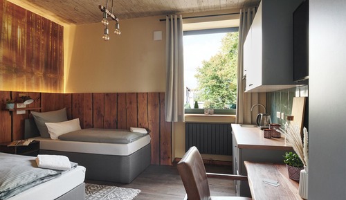 Habitación económica con 1 cama doble o 2 individuales