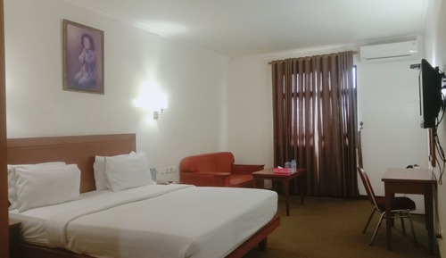 Habitación ejecutiva con 1 cama doble o 2 individuales