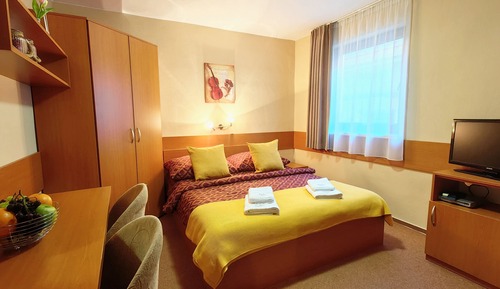 Suite estudio estándar, 1 habitación