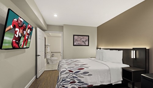 Habitación estándar, 1 cama de matrimonio, ducha adaptada, no fumadores