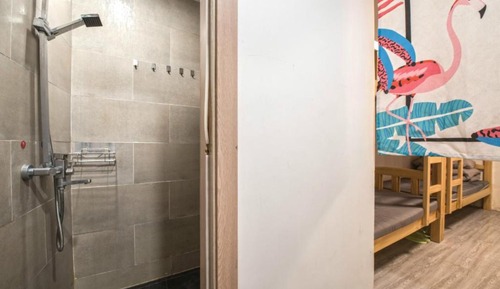 Dormitorio compartido (6 Pax Female Bedroom,Private Bathroom)