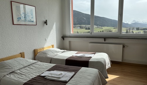 Habitación clásica, 2 camas individuales